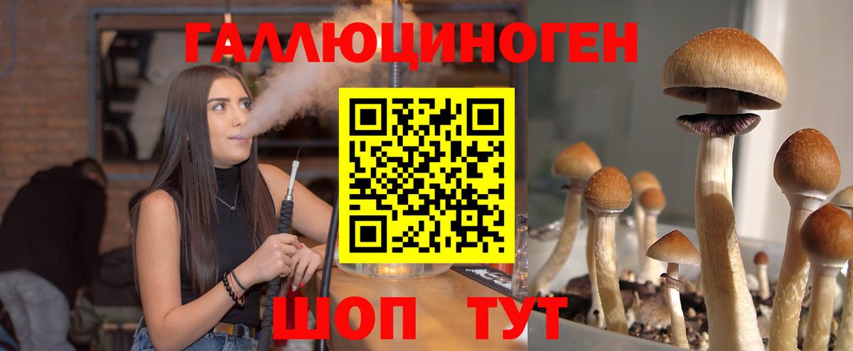 Псилоцибиновые грибы GOLDEN TEACHER Валуйки